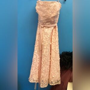 Lily Pink Strapless Gown for